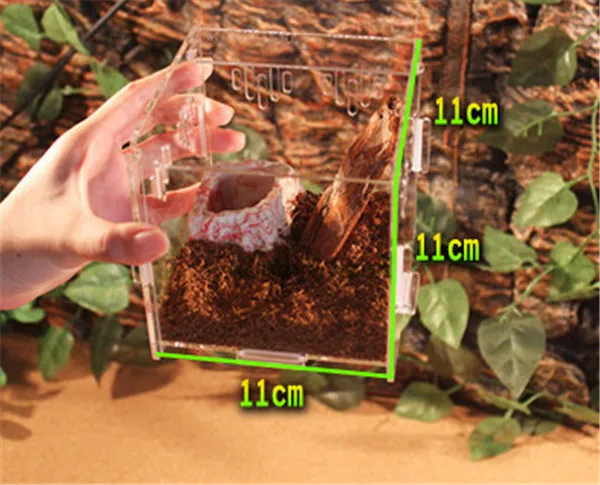 Акриловый Террариум для рептилий идеально подходит для личинок пауков
