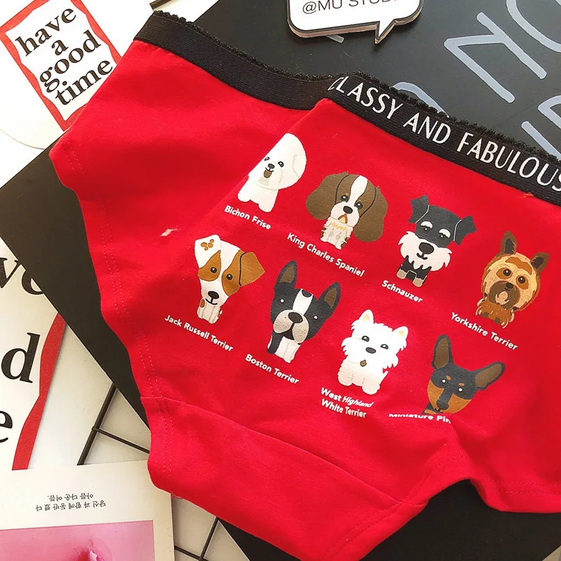 Korean INS style cute cartoon flamingo financial cat big red pure cotton sports lady triangle underwear