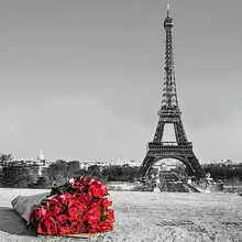 

Full Square Diamond 5D DIY Diamond Painting "Red Rose & Eiffel Tower" Embroidery Cross Stitch Rhinestone Mosaic Painting Decor