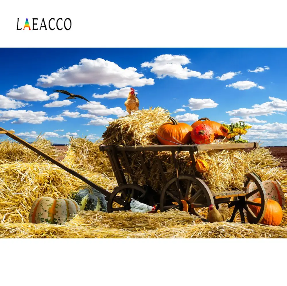 Laeacco фотография фоны ферма стог сена Тыква цыпленок осень Урожай небо облако фото