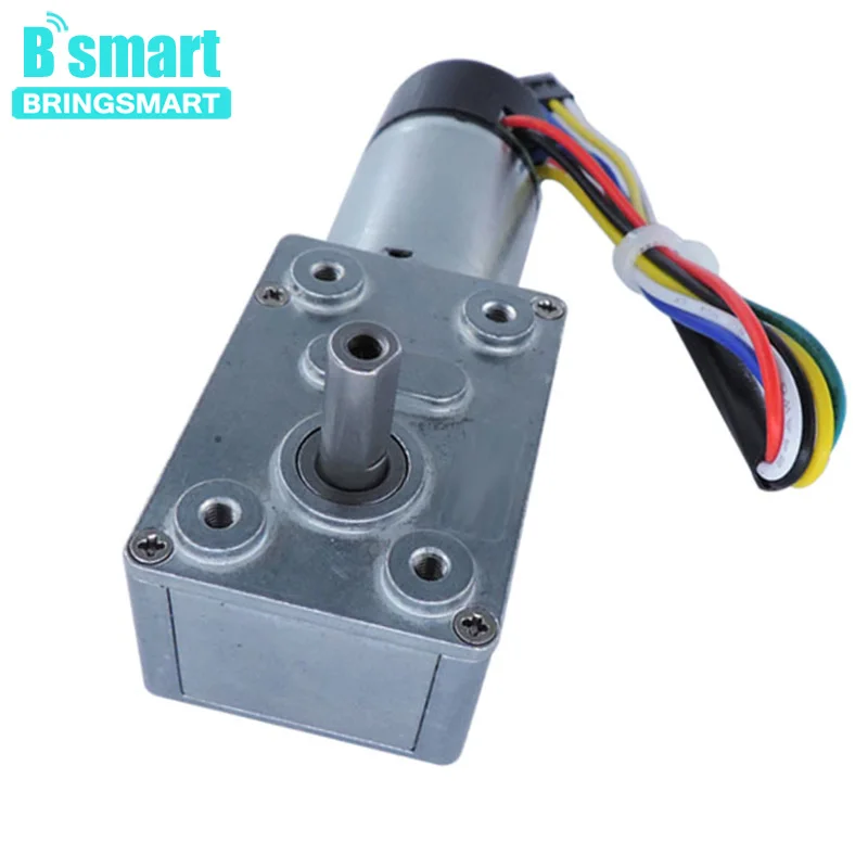 

Bringsmart Micro Worm DC Gear Motor 12V Hall Encoder Electric Motor Low Speed Encoder Self-locki Reversible Motor DIY JGY-370GB