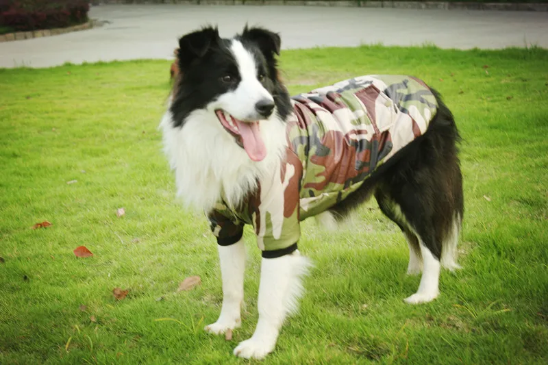 K08 New Winter Big Dog Pet cotton Clothes Camouflage Padded 2 legs