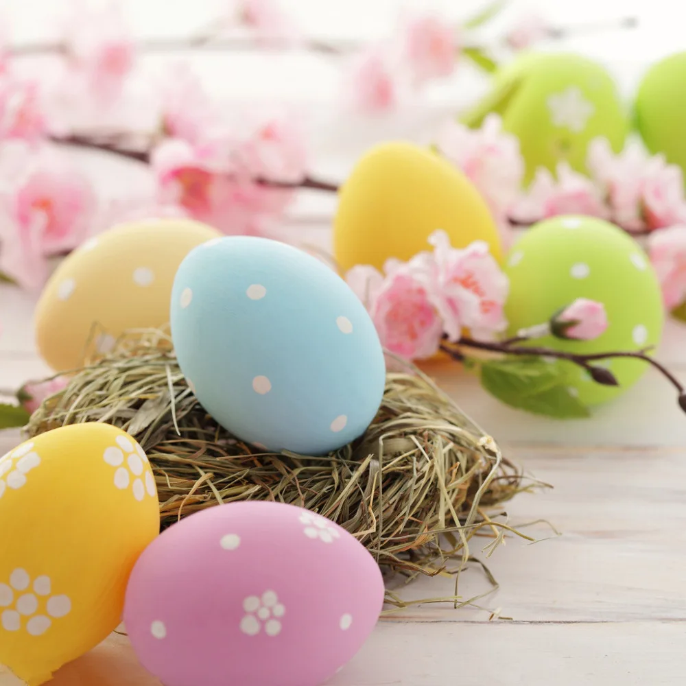 SHANNY 10X10FT Easter theme Vinyl Photography Backdrop Prop Photo ...