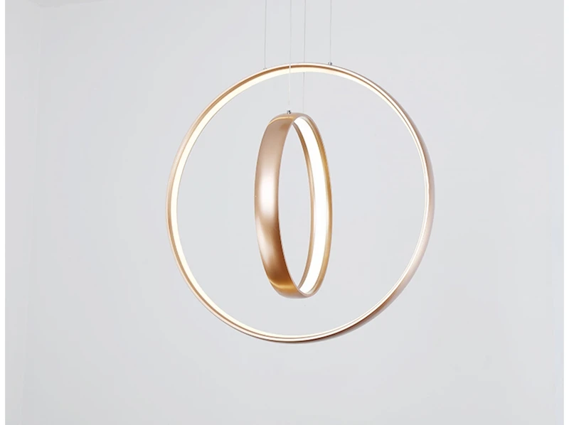 Nordic Creative LED Pendant Lights Lamp Minimalist Aluminum Double Ring LED Hanging Lighting For Dining Room Bar Cafe (8)