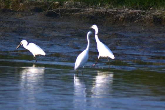 UTB8hLKhiuvJXKJkSajhq6A7aFXag