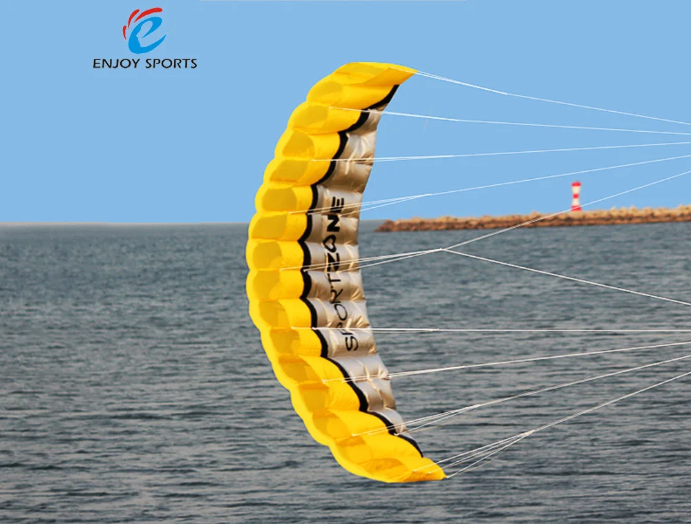 Buy Soft Kite 2.5m Dual Line Parafoil Kite Braid