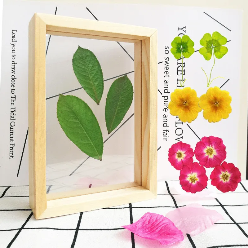 Quality Double Sided Glass Photo Frame DIY Plant Specimens Solid Wood Frame Leaf Clip Desktop Decoration Picture Frames Ornament