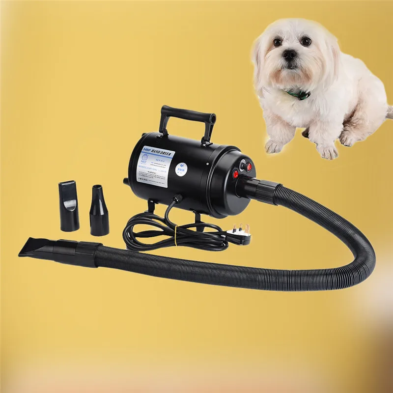 Gros Chat Chien Sèche Ultra Calme Pet Chien Toilettage Sèche