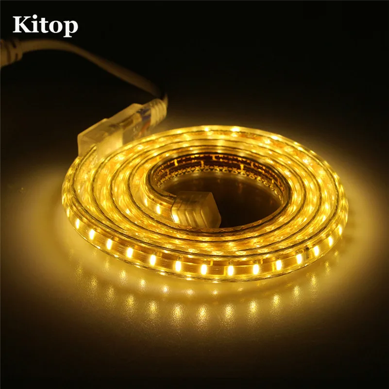 #Best Tanbaby AC220V SMD3014 led strip light 120Leds M IP67 waterproof 1M 2M 3M~25M with EU plug outdoor indoor garden light 5 colors