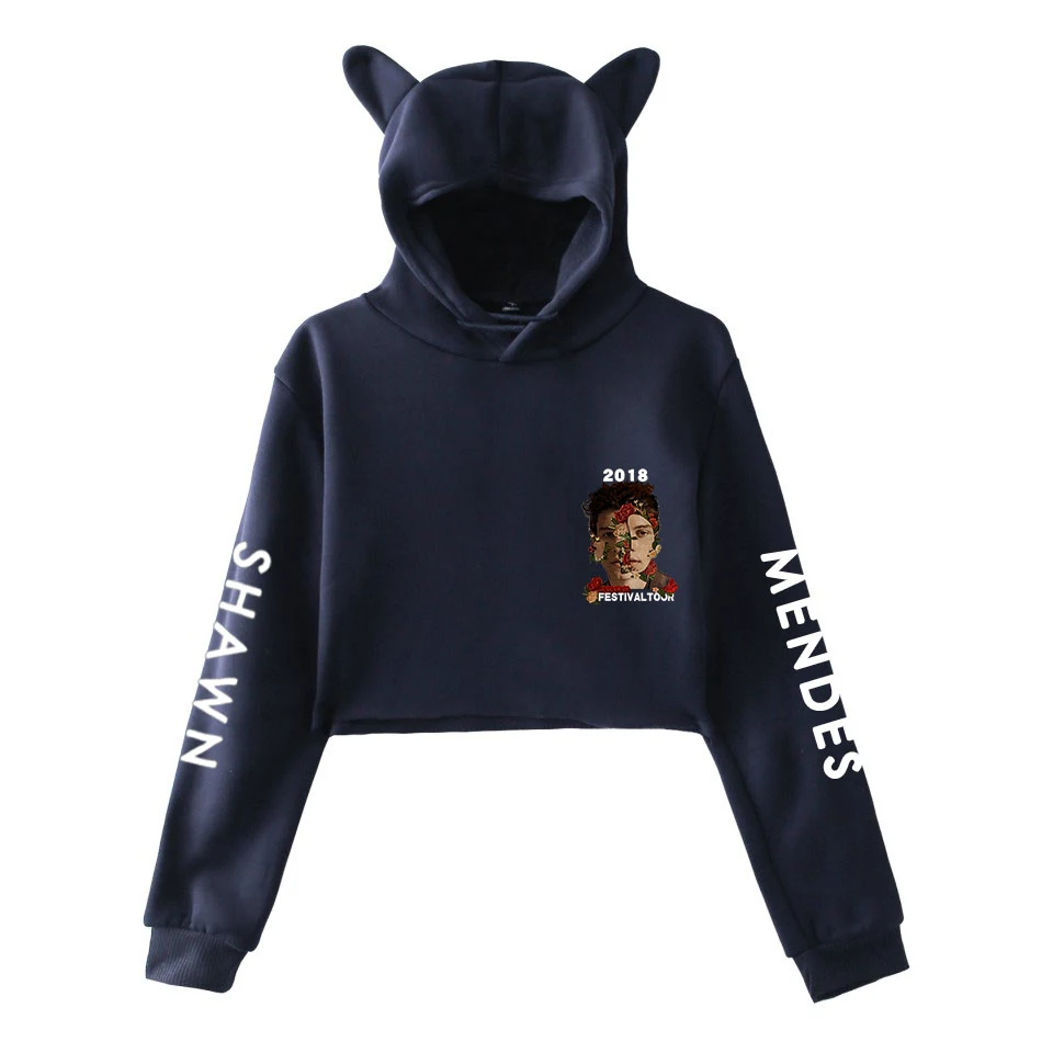 shawn mendes festival hoodie