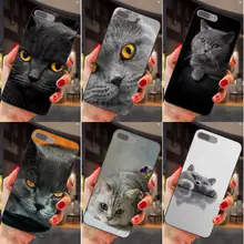 Просвечивающий чехол из мягкого британская; топ с рисунком кошки для huawei Honor 5A 6A 6C 7A 7C 7X 8A 8C 8X9 10 P8 P9 P10 P20 P30 Мини Lite рlus
