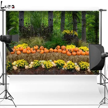 

MEHOFOTO Forest Vinyl Photography Background For Family Happy Halloween New Fabric Flannel Backdrop For Baby photo studio HA217