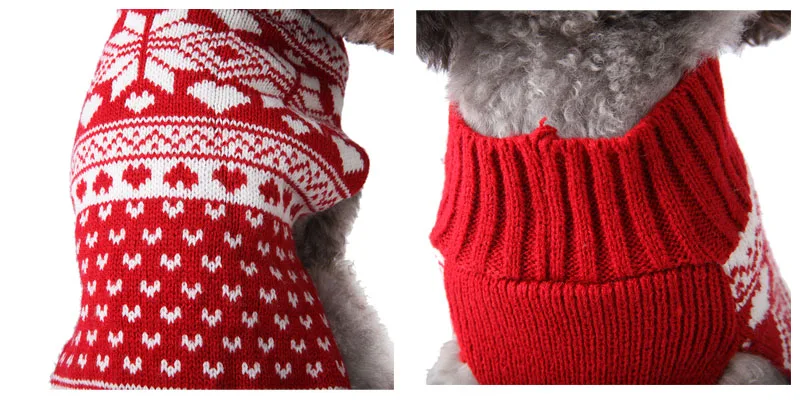 pet knitwear