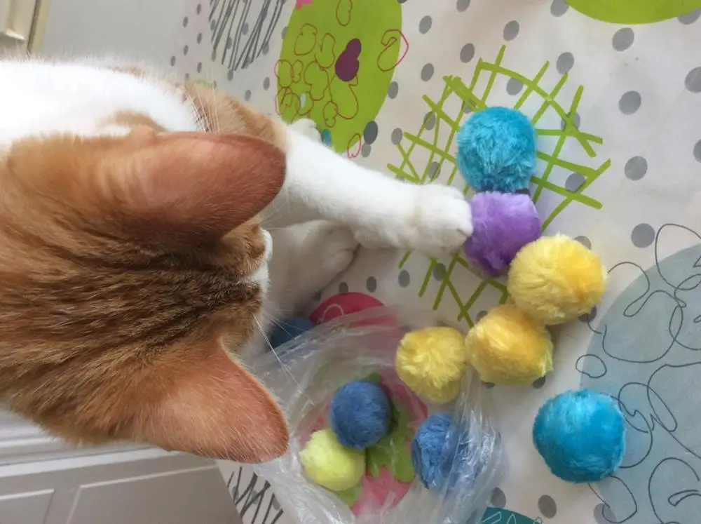 12 шт./лот игрушки для котов пушистый погремушка мяч Kitty Cat мяч ярких цветов Ассорти