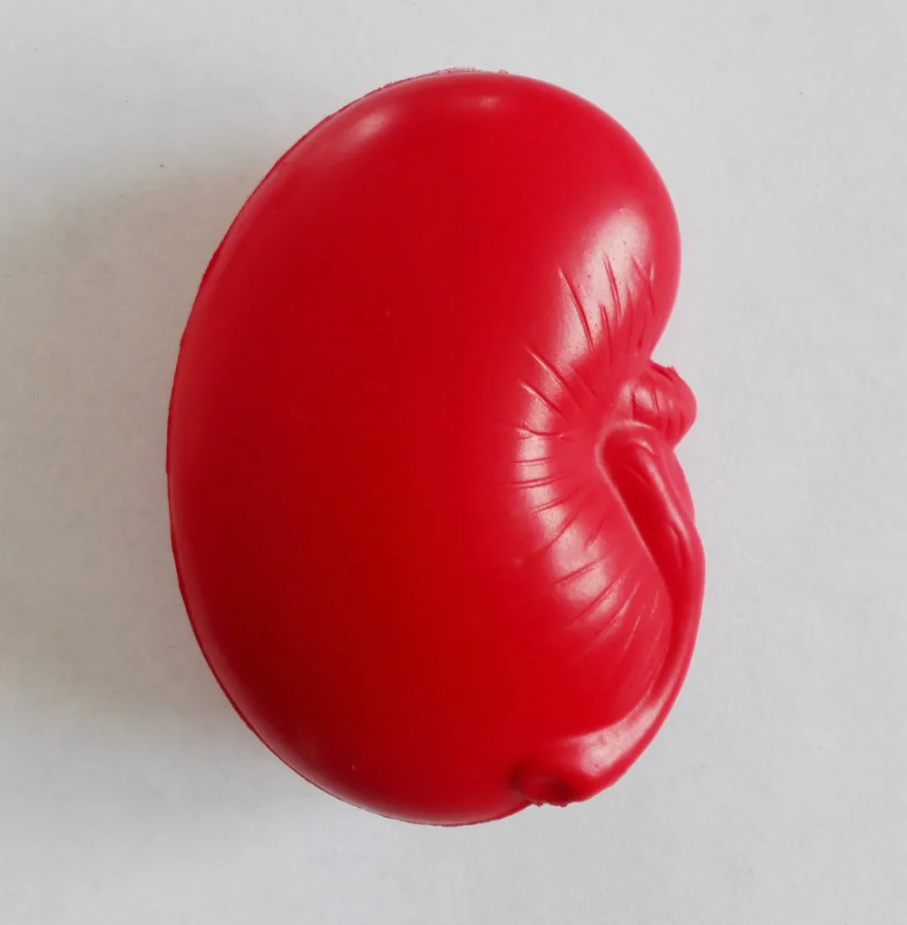 kidney stress ball