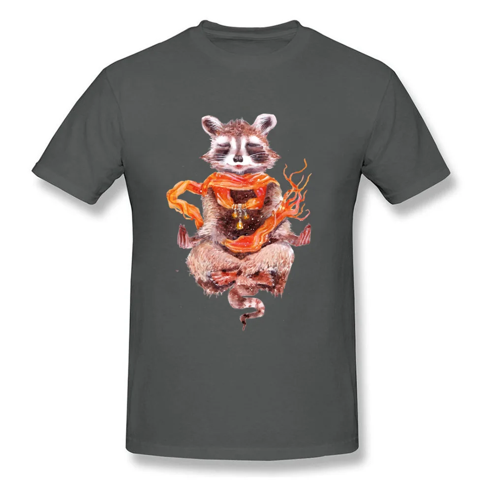 Raccoon meditates (female)_carbon