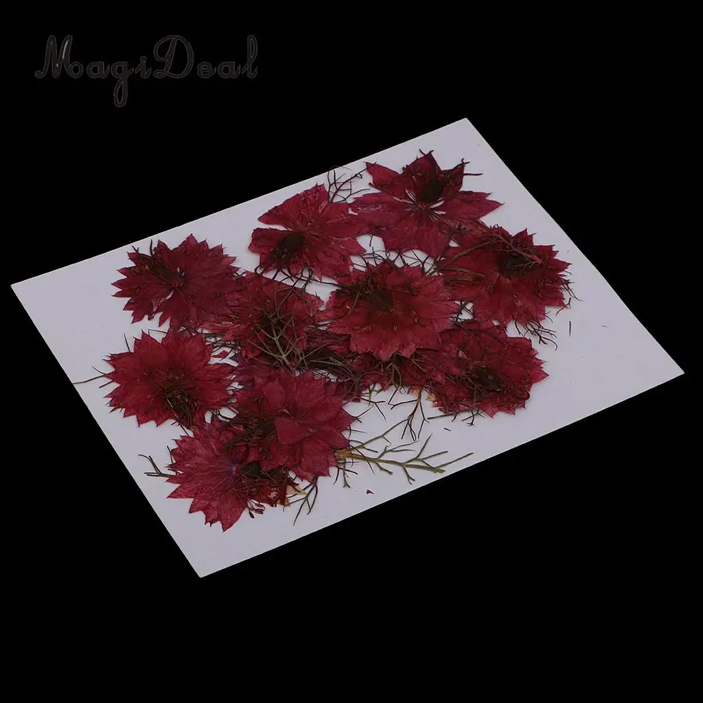 12pcs Love-in-a-mist Natural Pressed Real Dried Flower for Craft DIY Resin Ornaments