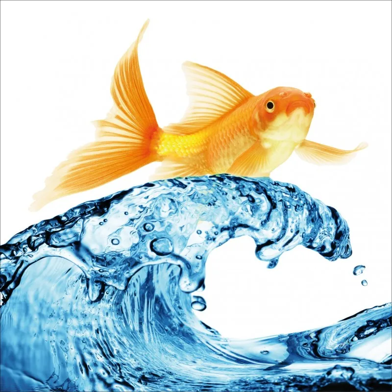 sticker-lave-vaisselle-poisson-vague