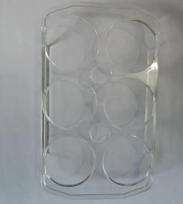 Качество холодильник Запчасти 6 отверстий прозрачные пластиковые яйца Замена чехол для Haier Универсальный холодильник 159 х 95 х 23 мм