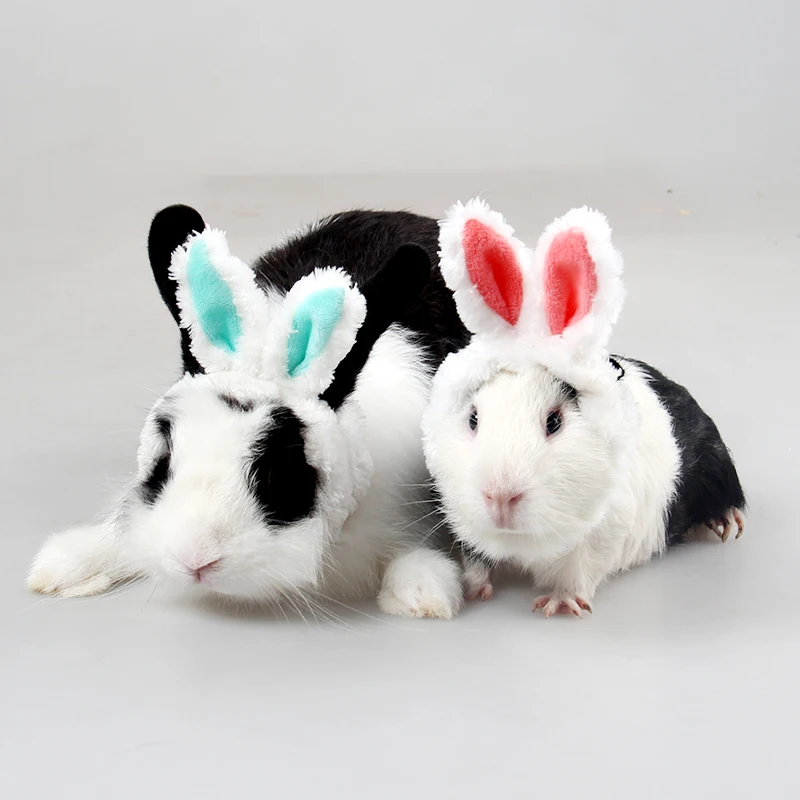 

Small Animal Accessory Cute Rabbit Totoro Guinea Pig Dutch Rat Mink Hat