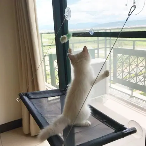 cat suction cup window perch
