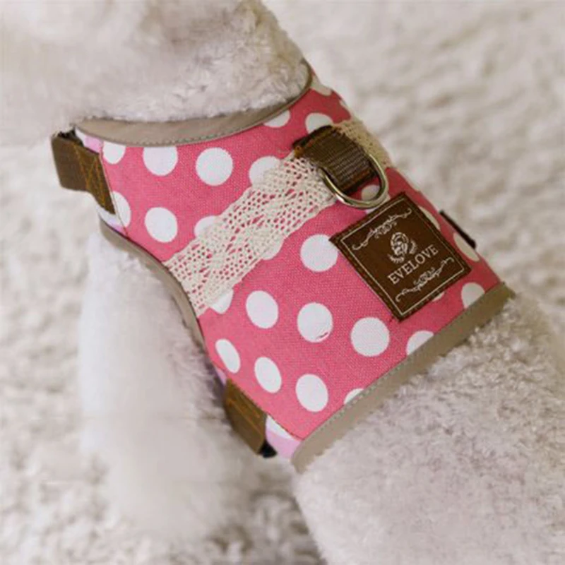 chihuahua dog accessories (6)