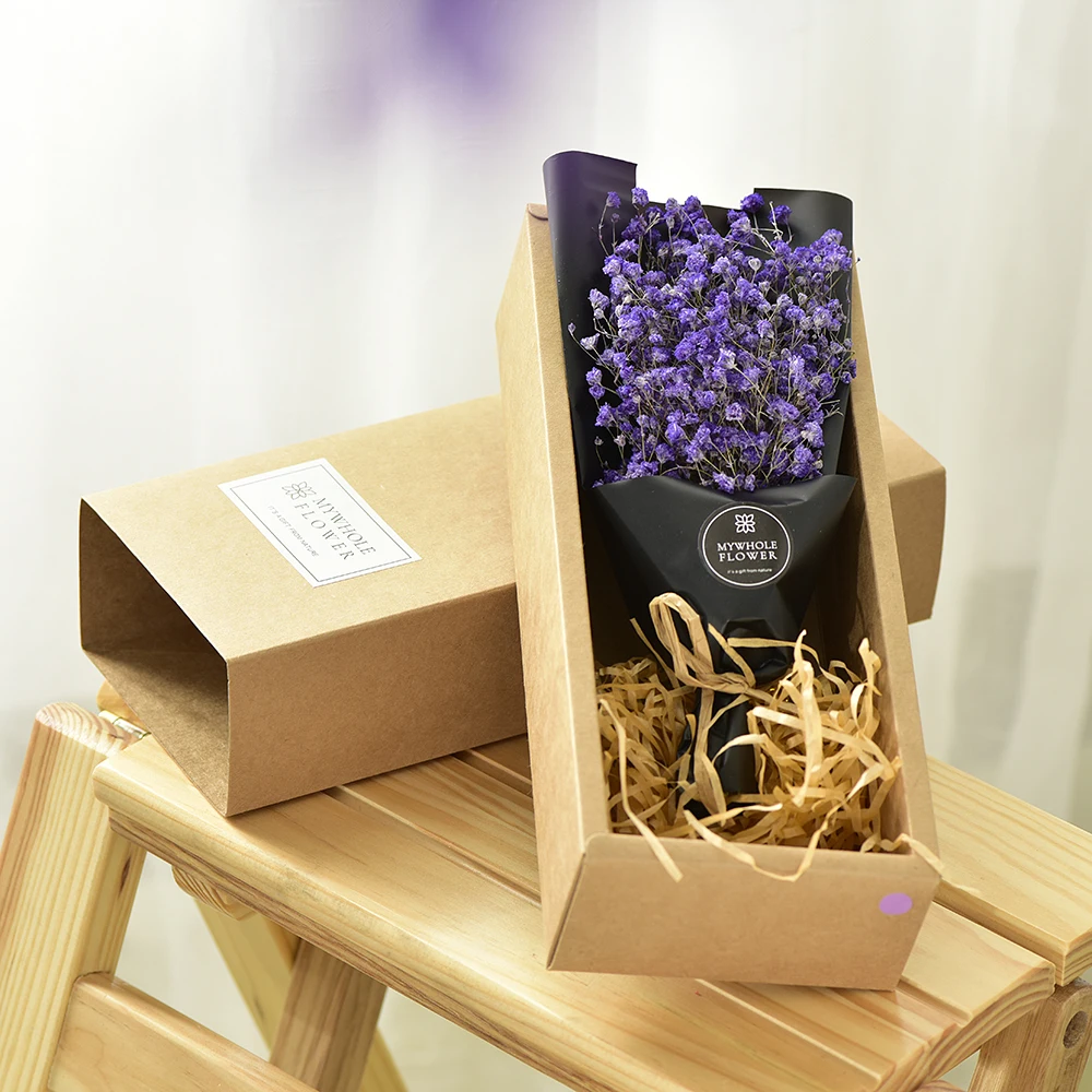 _DSC1967-1