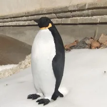 Искусственные животные Пингвин реквизит украшения подарок