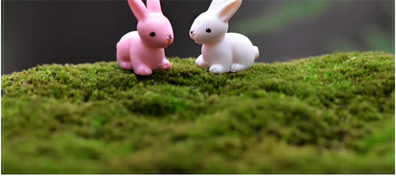 20190313_090715_009