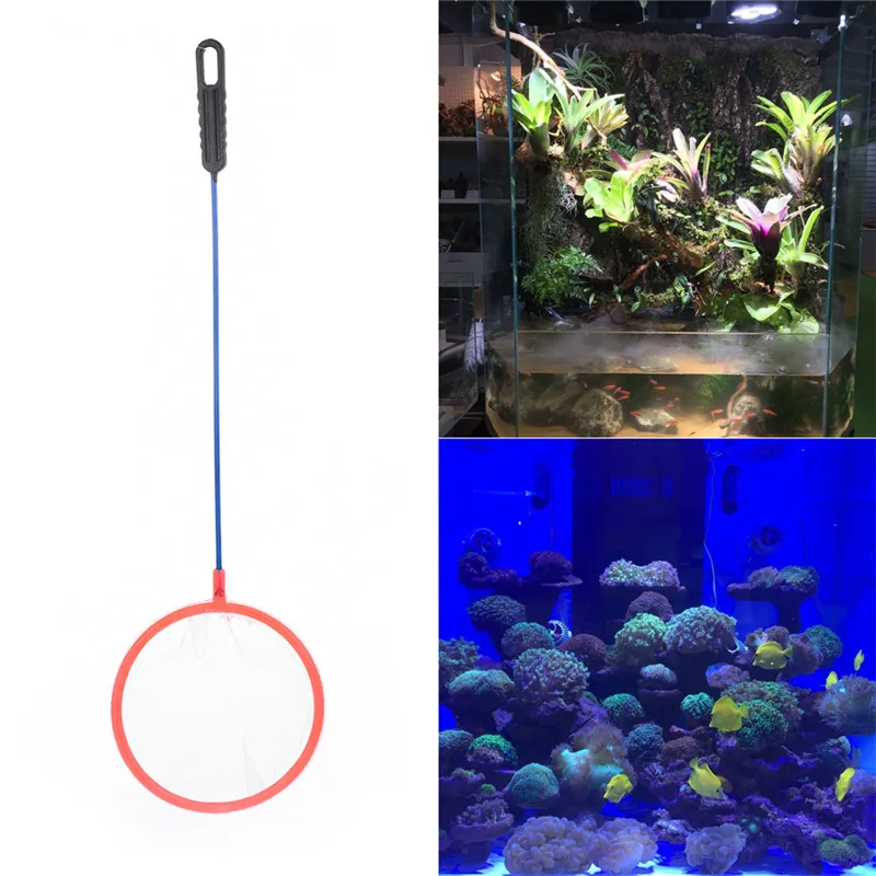 aquarium supplies for sale