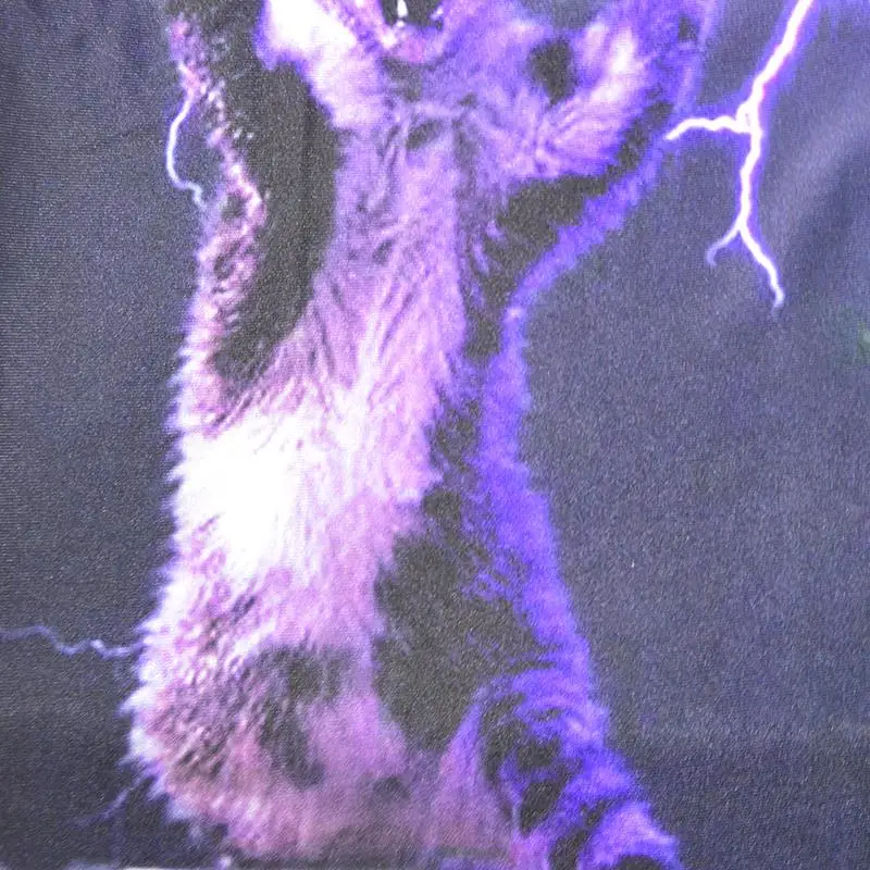 Raisevern Новый 3D Thundercat футболка бесстрашный Котенок Кошка играет с мигающими Lightning