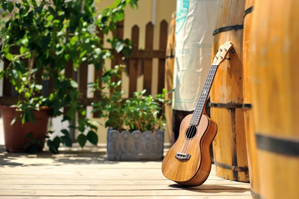 electric ukulele (2)