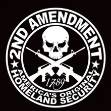 AUTO Moto Adesivo TESCHIO AUTO STICKERS ADESIVO CAR SKULL BLACK gt77