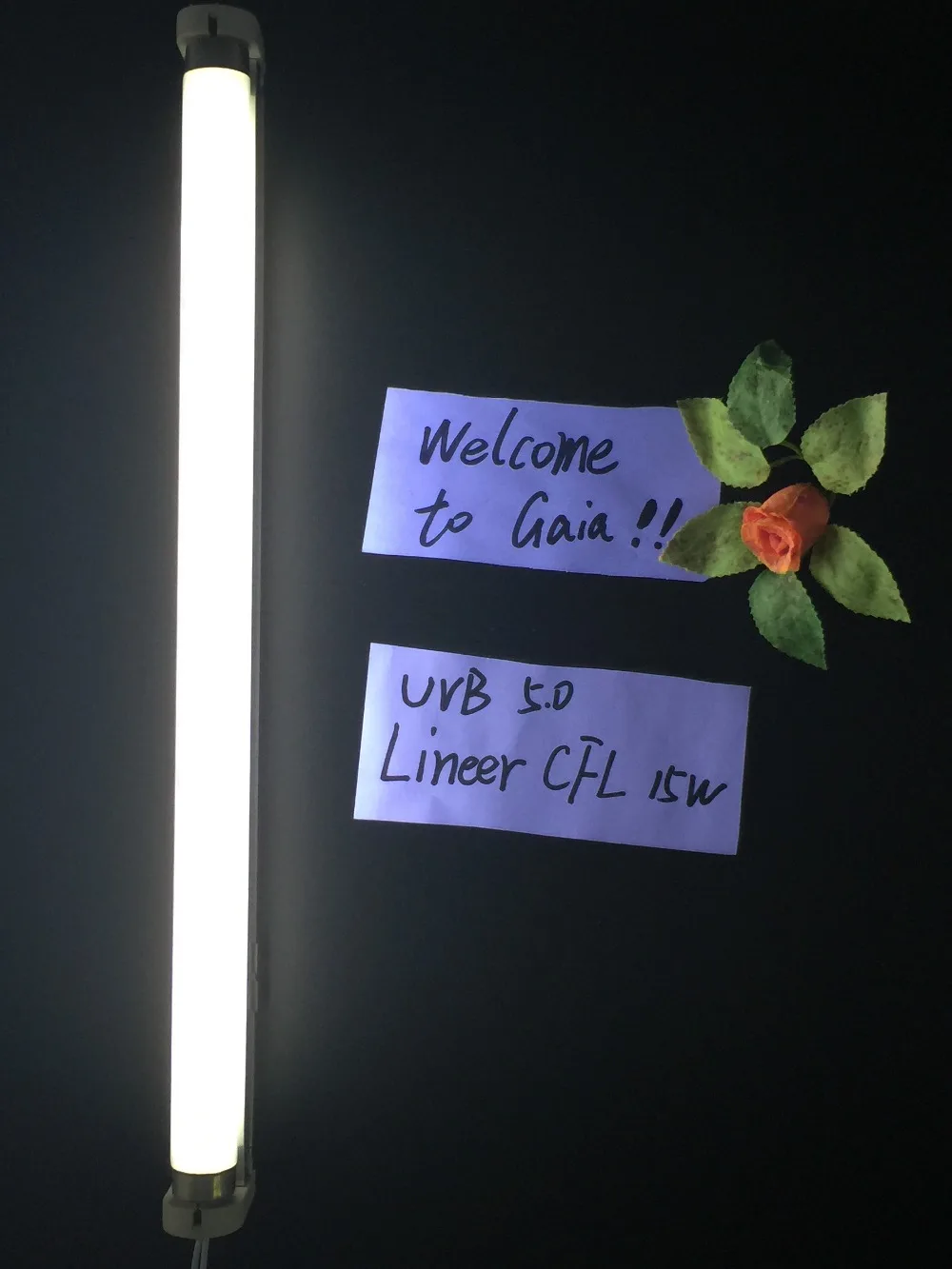 

UVB 5.0 Fluorescent Lamp, T8, 18 inch Linear light bulb; 15 watts,Stimulates plant growth reptiles and amphibians appetite