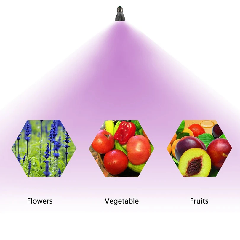 61XweIpocaL._SL1000_