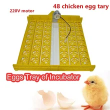 220V/110V Motor Turn The Eggs Tray Automatic Incubator Egg Turning Motor For big sale