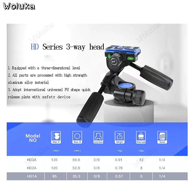36020190220132848212