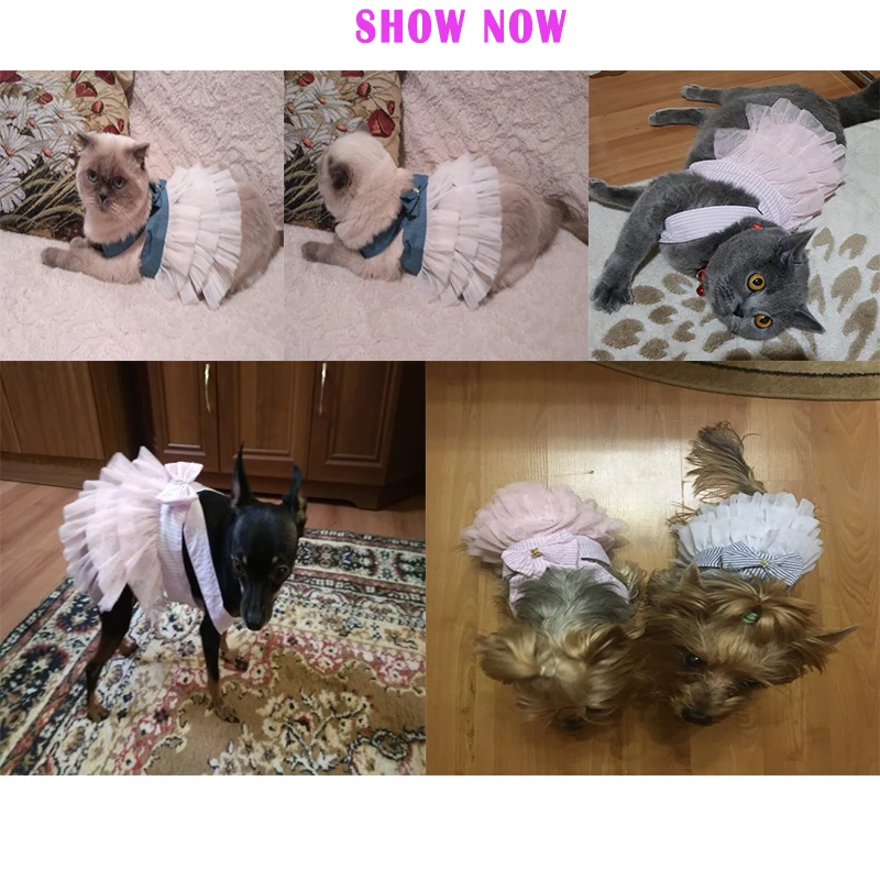 Hoomall Одежда для собак платье принцессы платье для щенка Тедди Свадебные платья Fot собака Маленький Средний собаки аксессуары для домашних животных