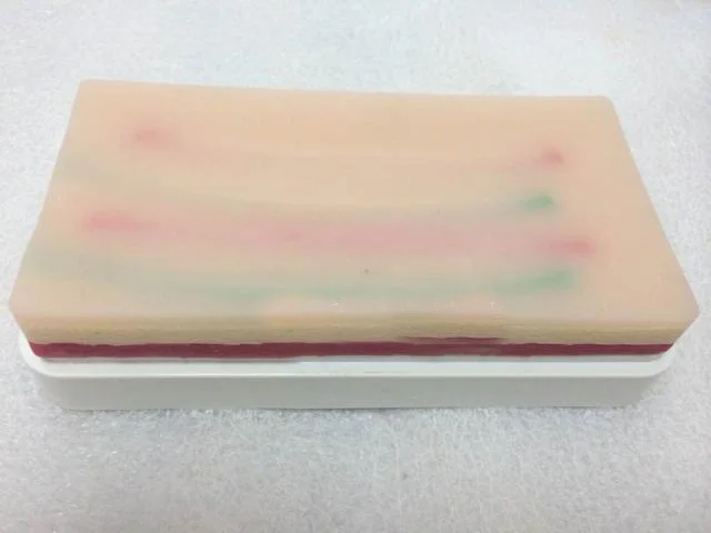 

skin anatomical model surgical sutured training module simulation training model human Venipuncture skin model