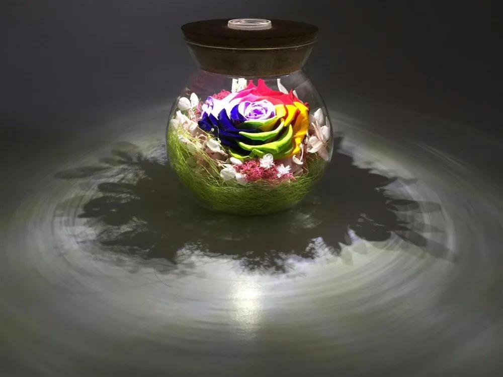 New-Micro-Landscape-Jar-Can-Bring-Multi-function-LED-Light-Moss-Ecological-Bottle-Ecological-Bottle-Wedding (1)