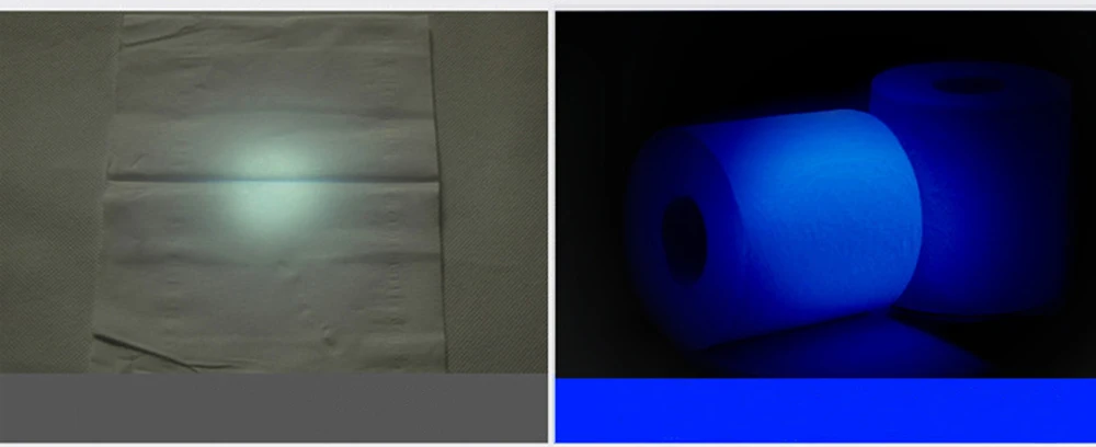 5065509068_1715529122