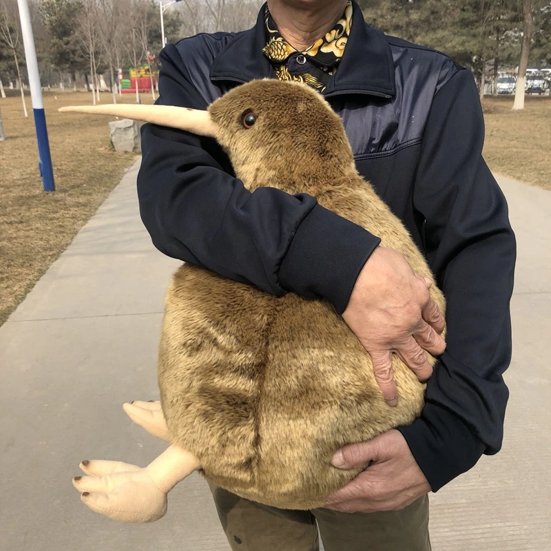 Big Simulation KIWI Bird Doll Animal Kiwi Bird Plush Toys Realistic Animals Plush Toys Gifts Deco 20inch 50cm DY50603(9)