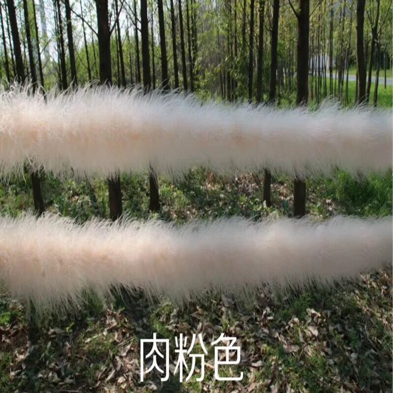 QQ20181021111153_