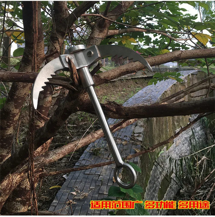 3553569490_2102329459