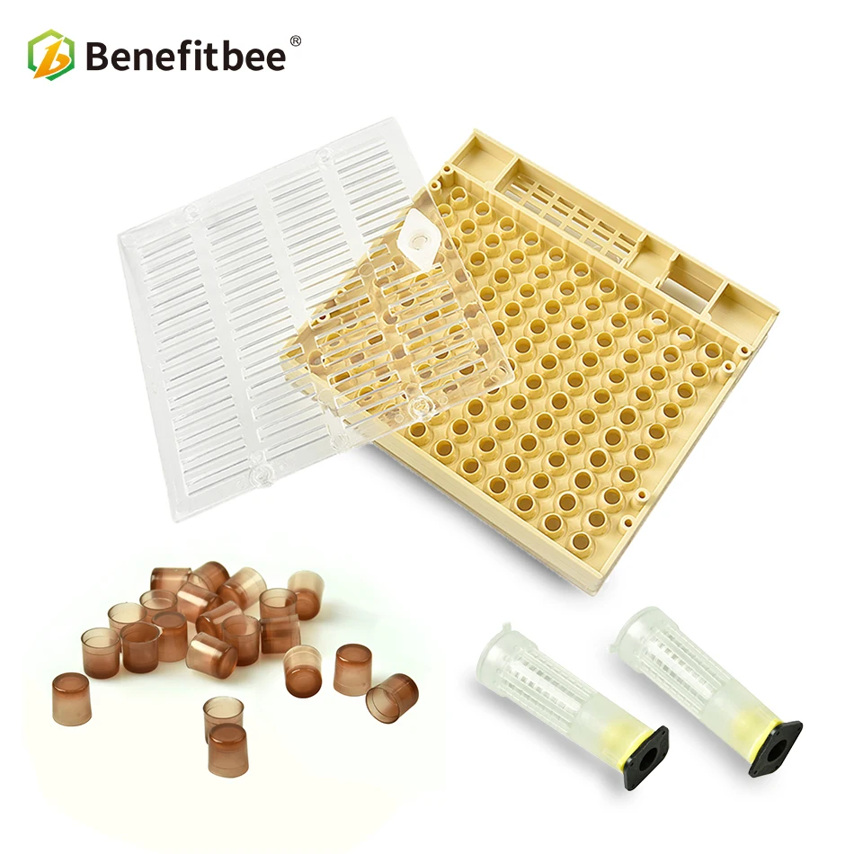 

Benefitbee 1Set Beekeeping Queen Rearing Cup kit Box For Bee Queen Box Cell Cups Complete Queen Rearing System Beekeeping Case