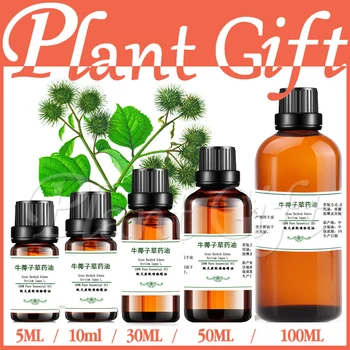 

100% pure plant Herbal medicine oil Burdock herbal oil Essential oil Fructus arctii