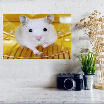 

Custom The hamster Poster Art Silk Light Canvas Home Room Wall Print Decor room decoration DIY gift Drop Shipping