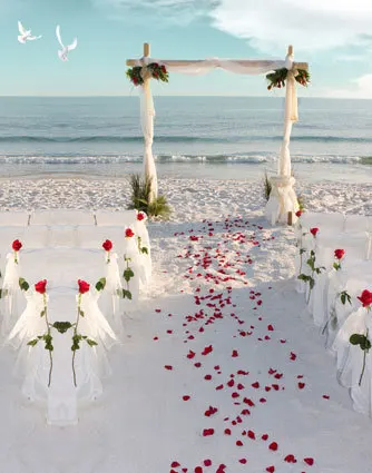 

10x10FT Sea Sand Beach Wedding Ceremony Red Flower Drape Gate Petals Road Photography Background Studio Backdrops Vinyl 3x3m