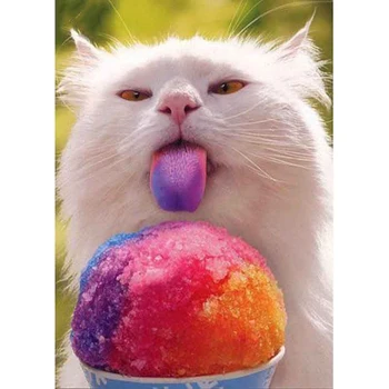 

Full Square/Round DIY Diamond Embroidery Funny cat 5D Diamond Painting Rhinestone Mosaic Home Decor HYY