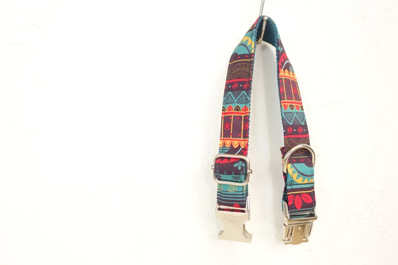 Designer Dog Collars  (2)